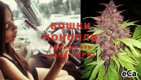 PSILOCYBIN Бугульма