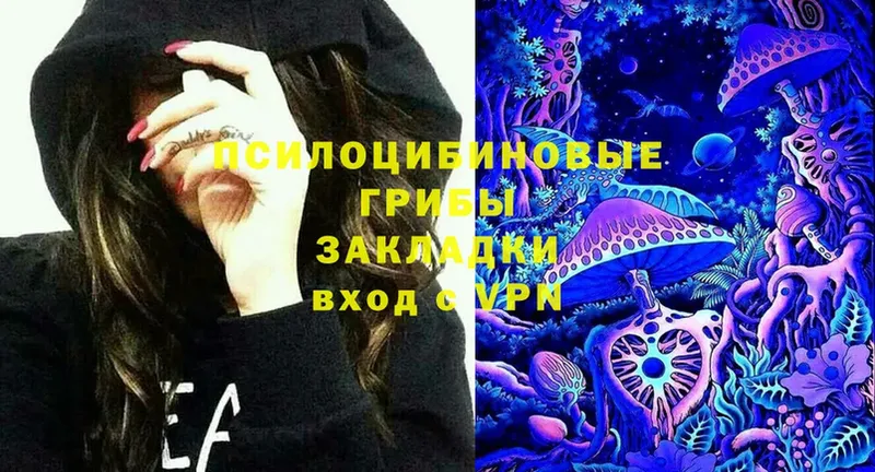 где купить наркоту  Заринск  Галлюциногенные грибы Cubensis 